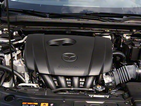 2025�� 2.0L �Զ������