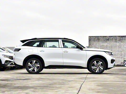 2026�� 380TSI ����R-LineѲ�� ������