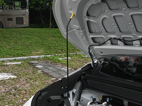 2026�� 610 Max