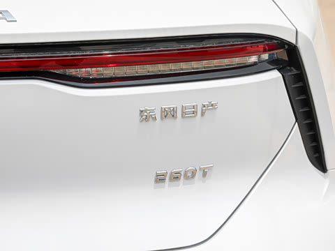 2026�� 260T ������ Pro