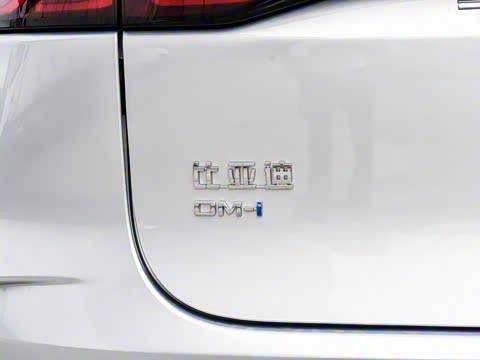 2025�� �Ǽݰ� DM-i 175KM ������