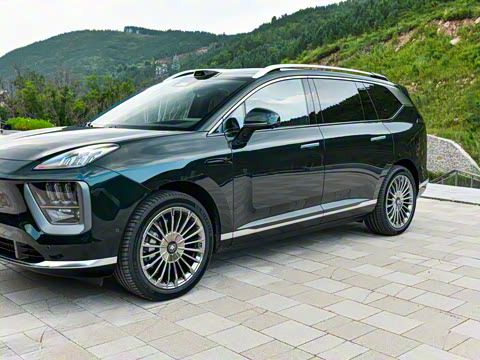 2025�� �Ŀ� 350 Max���������״��