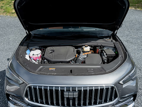 2026�� 220km ������ҫ��