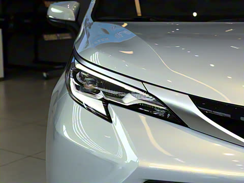 2026�� 2.5L ˫��������������