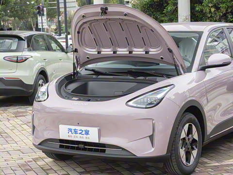 2026�� 310km �����