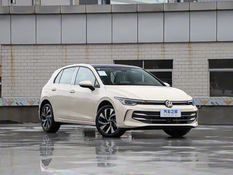 2025�� �Ŀ� 300TSI Pro