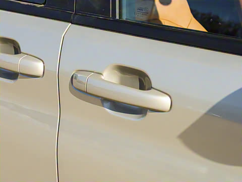 2026�� 2.0L �ֶ���������� 7��