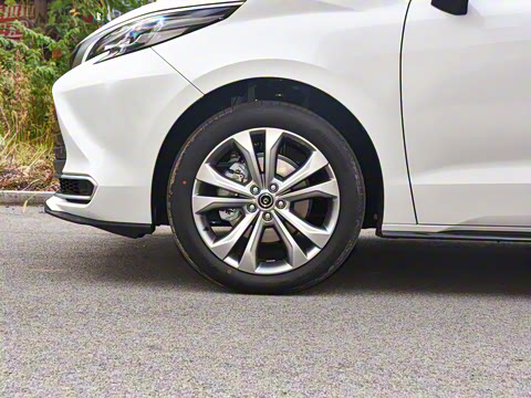 2026�� 2.5L ˫����������