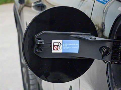 2025�� �Ǽݰ� DM-i 175KM �����