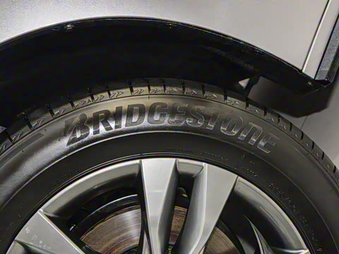 2026�� 2.5L ˫������������