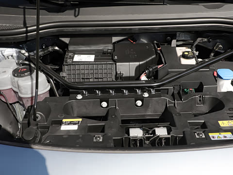 2026�� ������PURE