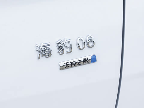 2026�� DM-i 300KM�콢��