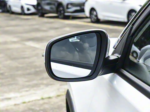 2025�� 290T ��������+