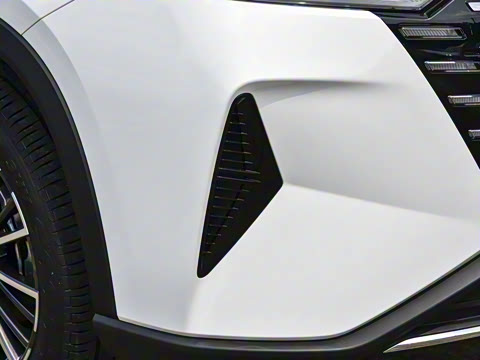 2025�� 290T ��������+