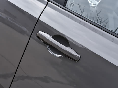 2026�� ˫�� 2.0L ������Ӣ��