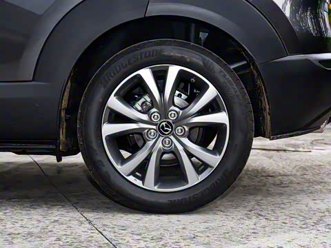 2025�� 2.0L �Զ�������