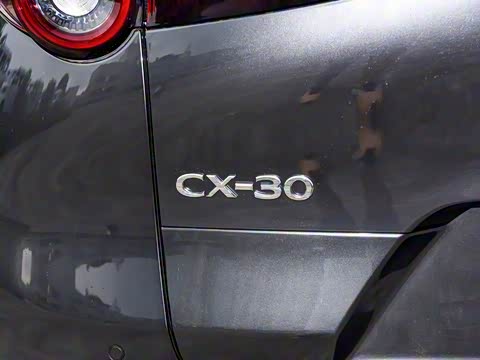 2025�� 2.0L �Զ�������