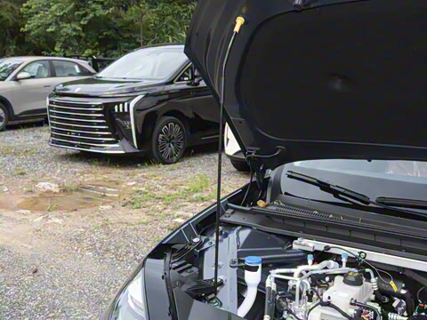 2026�� 520�Ǻ���