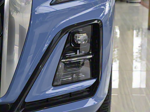 2024�� 115km ��Ϊ��