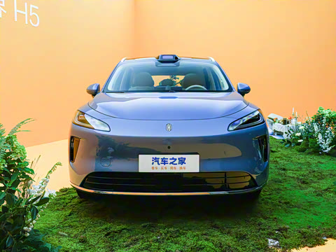 2025�� ���� Max