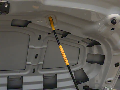 2026�� ���� 1.5L �����