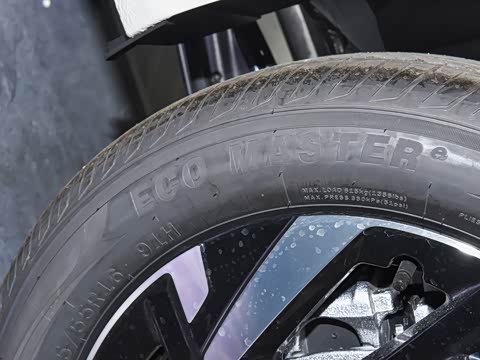 2026�� Pro 300TSI �������