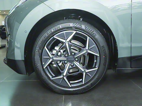 2025�� 530km ����Pro