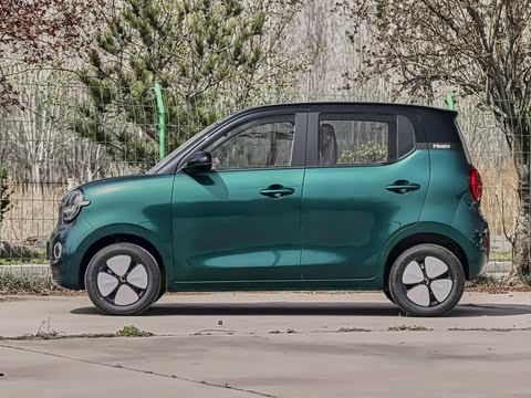 2026�� ����� 205km ���׿�