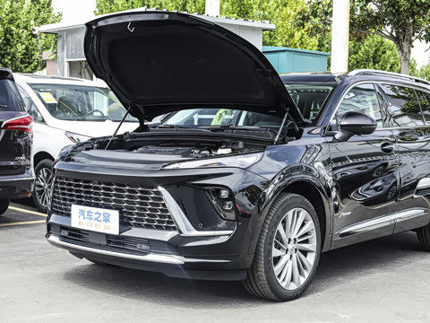 2026�� ������Plus ����Avenir��ά��