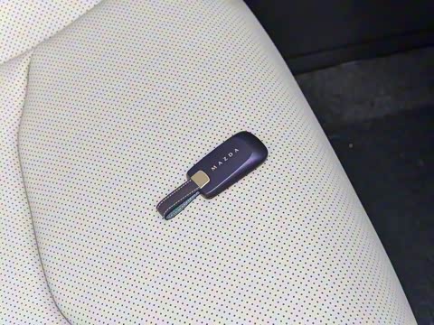 2025�� ����200 Pro