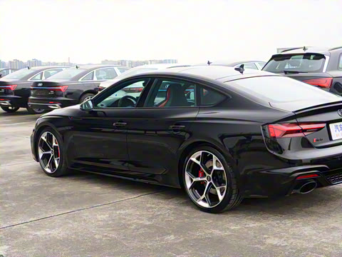 2025�� RS 5 2.9T Sportback ȼ���