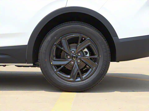 2025�� 150km ��ѡ��