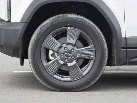 2025�� 520���а�