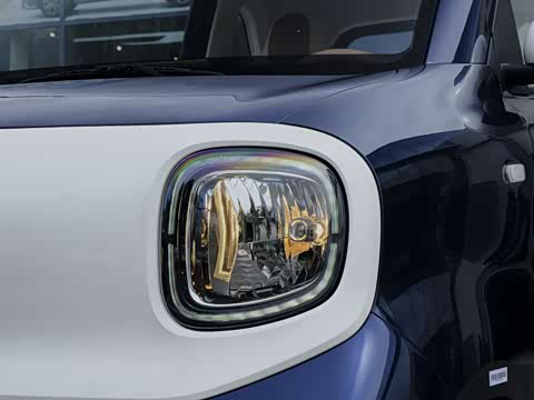 2026�� 222km ������