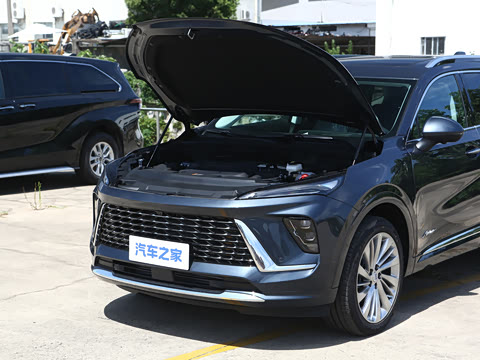 2026�� ������Plus ����Avenir��ά��