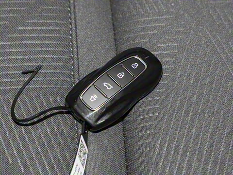 2025�� EcoBoost 170 �Ķ���