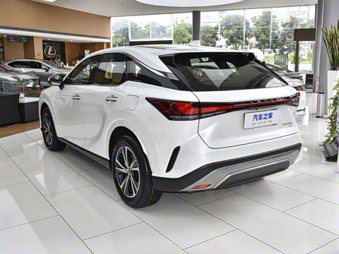 2026�� 300 ����������