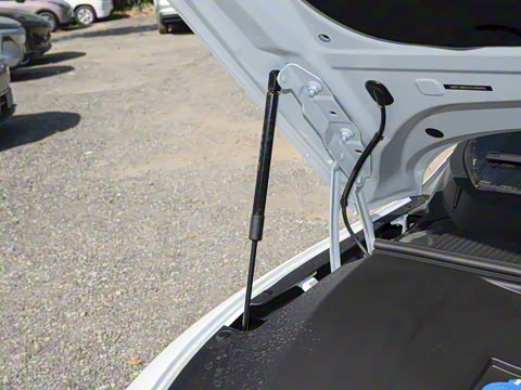 2026�� 650����������