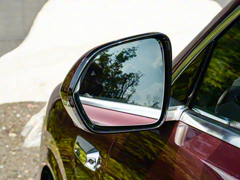 2025�� ���� Max+ ������������ 