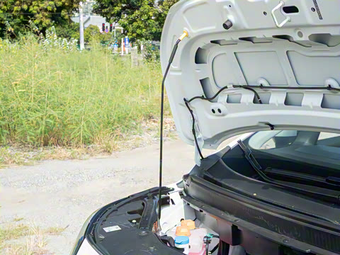 2025�� Plus 430 ������