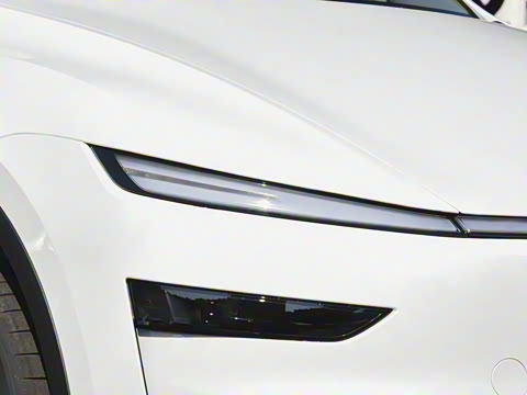 2026�� ����������������