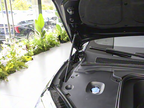 2025�� 690 ��ѡ��