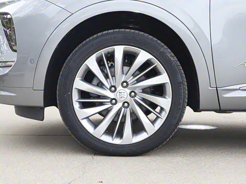 2026�� ������Plus ����Avenir��ά��