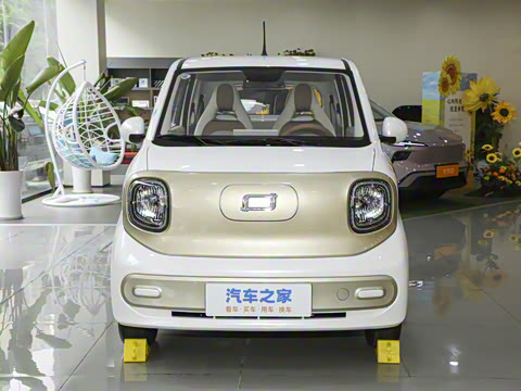 2026�� 222km ������