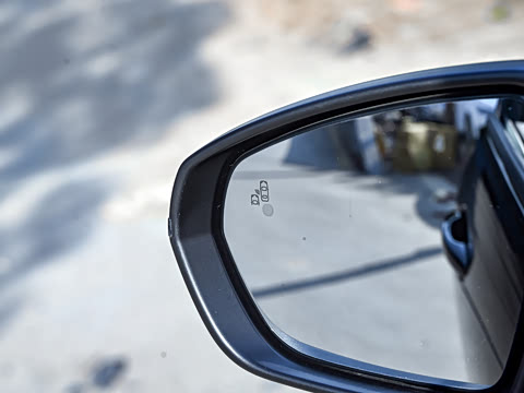 2025�� ������