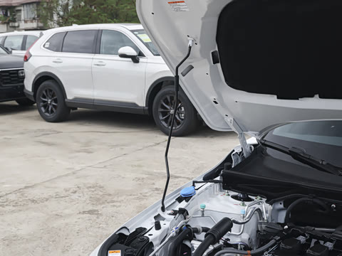 2026�� 240TURBO CVT ˼���й�20���޶���