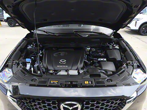 2025�� 2.0L �Զ�����������