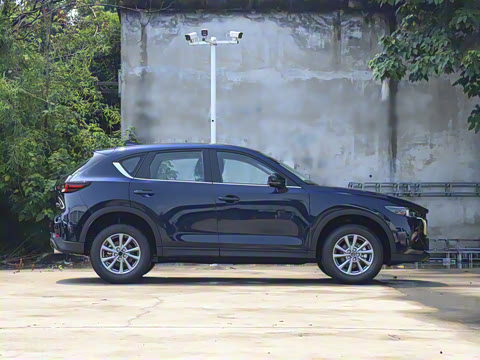 2025�� 2.0L �Զ���������Pro