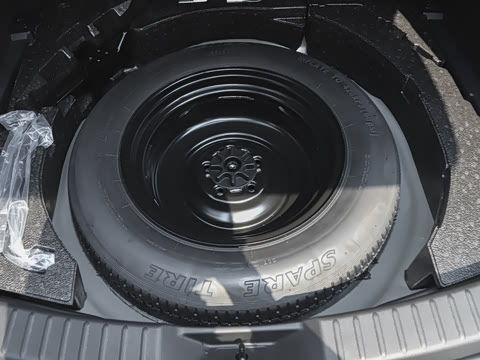 2025�� 2.0L �Զ���������Pro