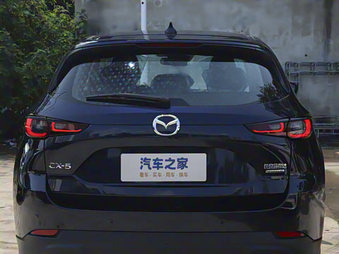 2025�� 2.0L �Զ���������Pro